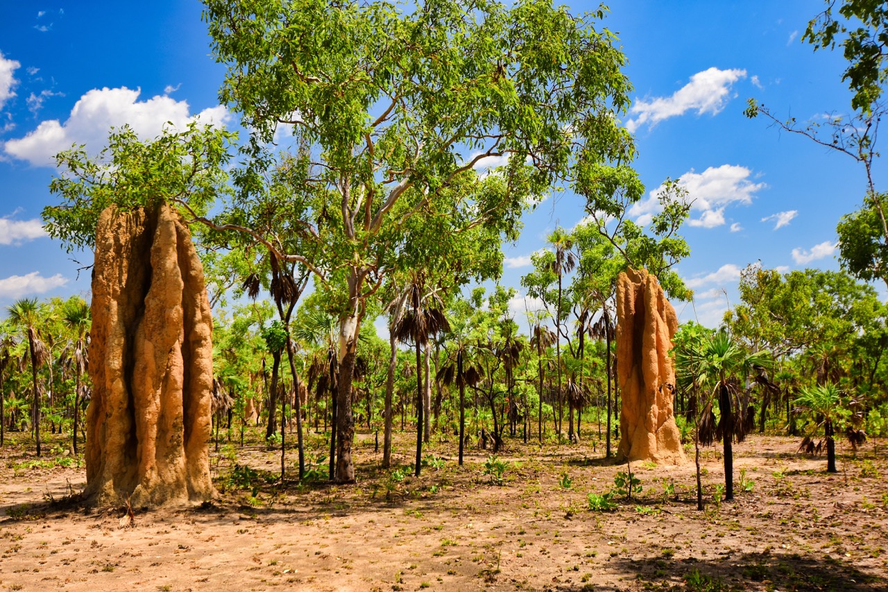  Litchfield National Park